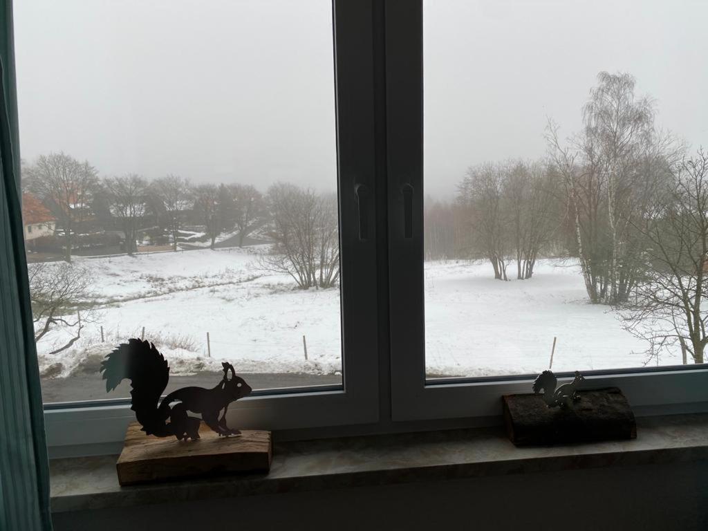 Urlaubshaus-Braunlage Wg 3 Appartement Buitenkant foto